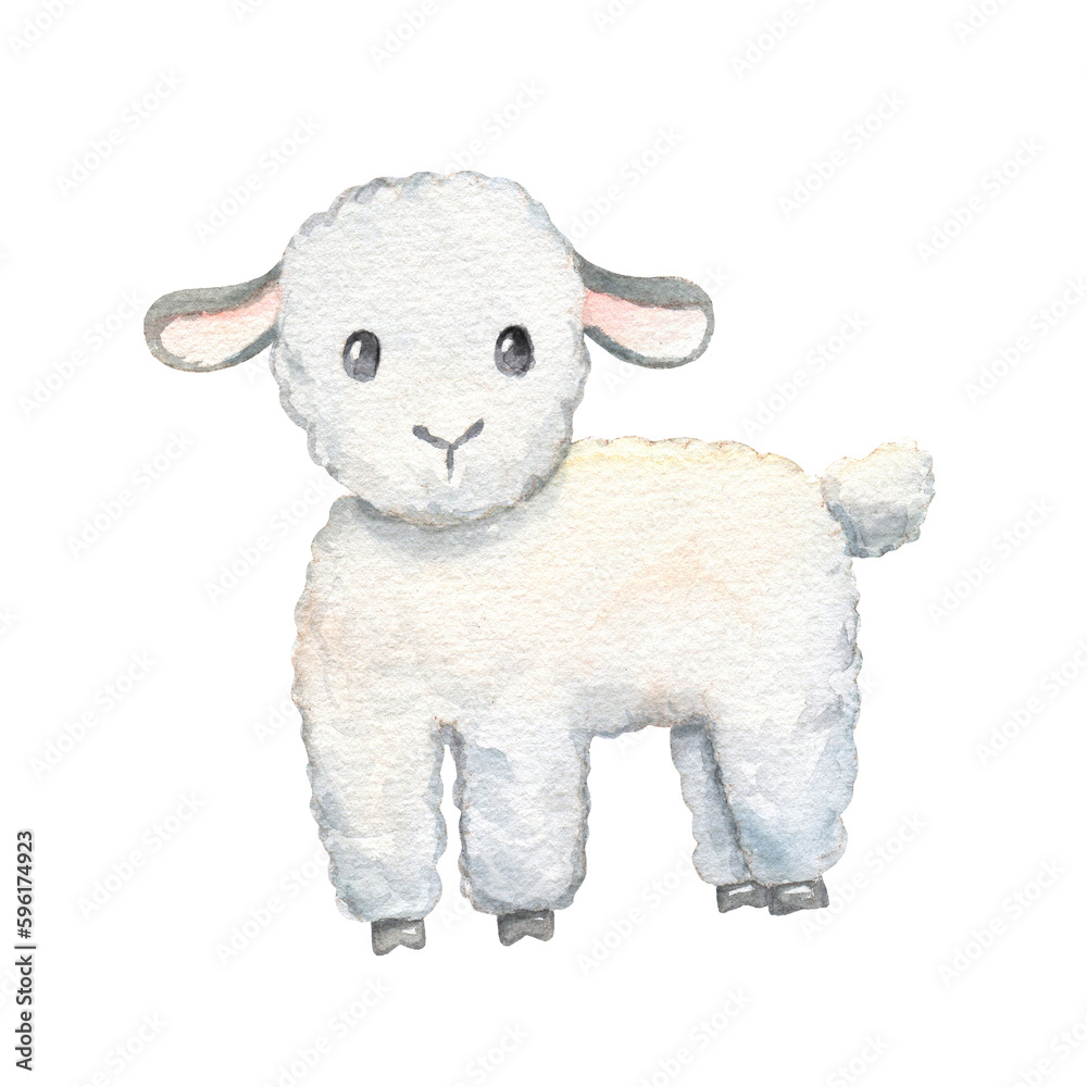 Fototapeta premium Cute lamb isolated on white background. Watercolor cartoon illustration. Little sheep