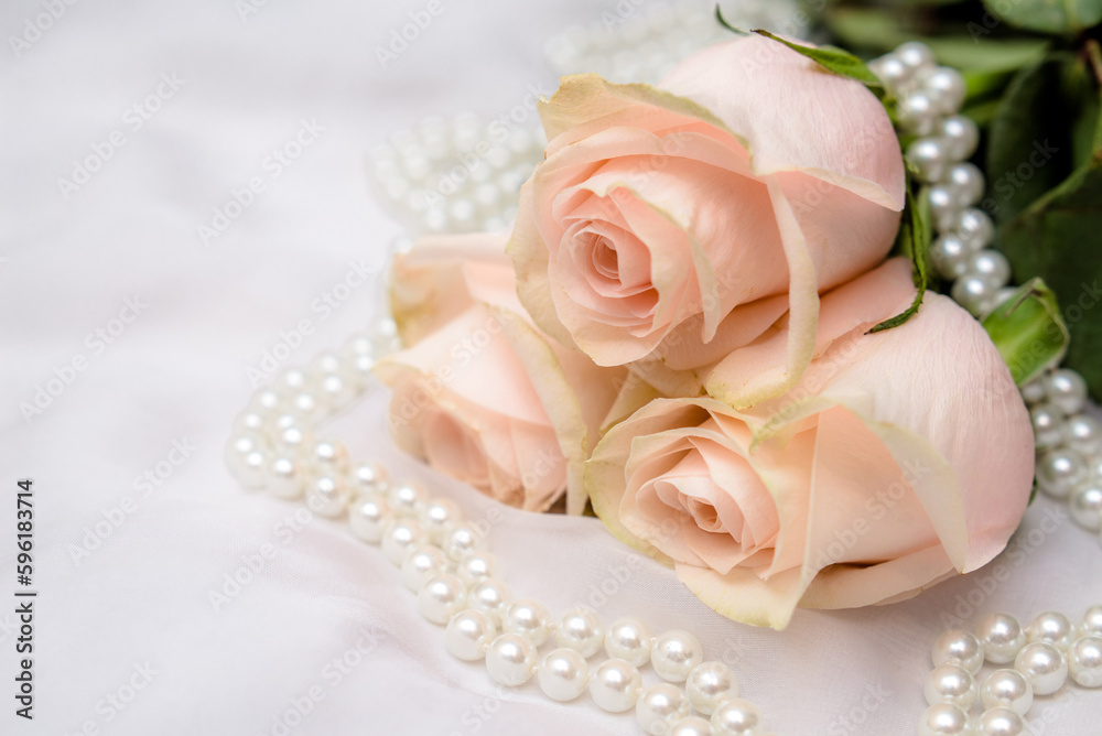 The branch of pink rose on white fabric background
The branch of pink rose on white fabric background