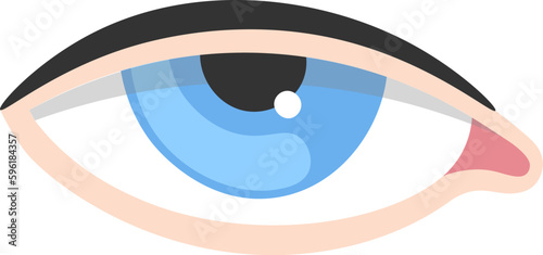 Ptosis Human Eye Disease