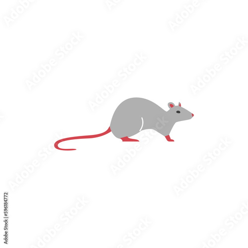 Rat rodent pest animal  flat vector illustration isolated on white background.