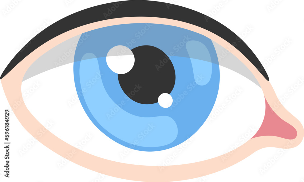 Healthy Human Eye Healthy Human Eye