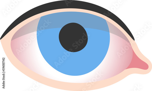 Dry Eyes Disease