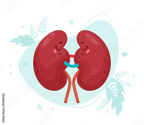 Cute cartoon pair of kidneys. Funny human organ. Vector flat cartoon character illustration design. Anatomy concept.