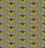 GREY SEAMLESS PATTERN WITH BRIGHT DIGITAL WATERCOLOR BUTTERFLIES