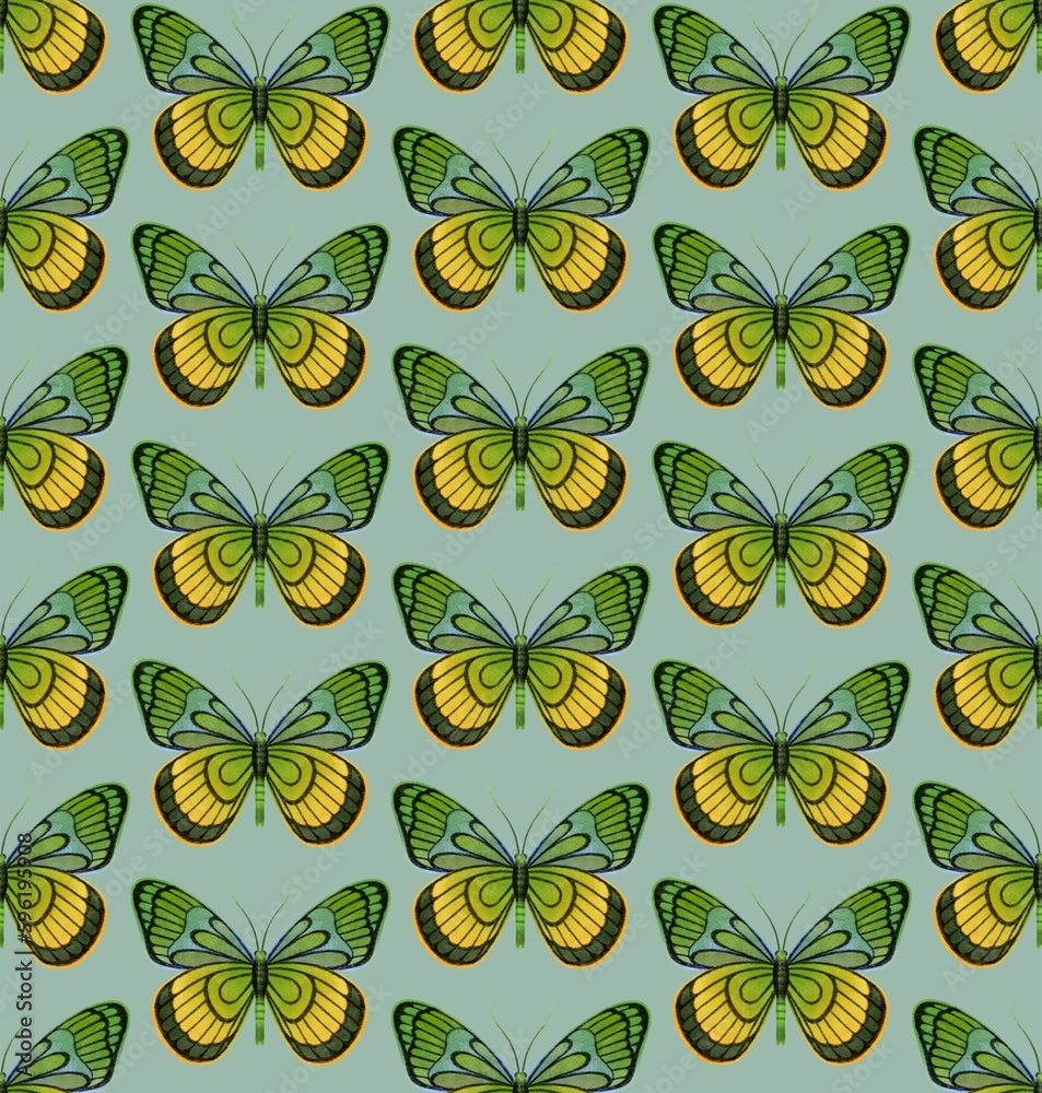 Obraz premium MINT GREEN SEAMLESS PATTERN WITH BRIGHT DIGITAL WATERCOLOR BUTTERFLIES