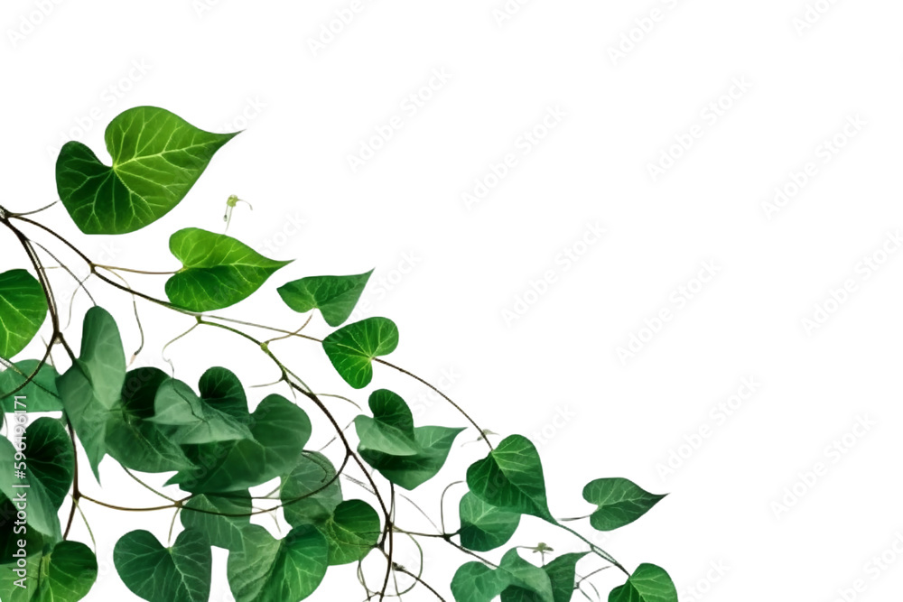 Morning glory leaves and stem, simple design, thick border, copy space, 2D, remove, transparents background. AI generative Morning glory leaves and stem, simple design, thick border, copy space, 2D, remove, transparents background. AI generative