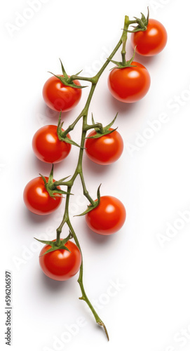 Red cherry tomatoes on a twig