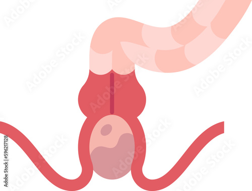 intestine  icon