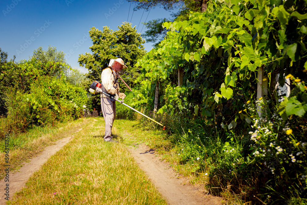 Farmer in protective clothing is mowing grass in garden with manually lawn trimmer