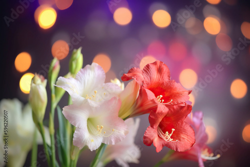 Gladioli flowers in bloom. Floral background. Generative AI. © YULIYA