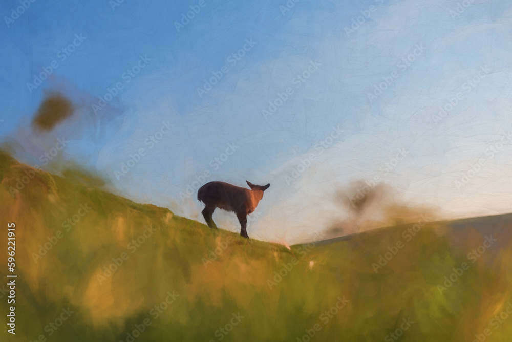 Digital painting of sheep grazing on Parkhouse Hill, and Chrome Hill at sunrise, in the Peak District National Park