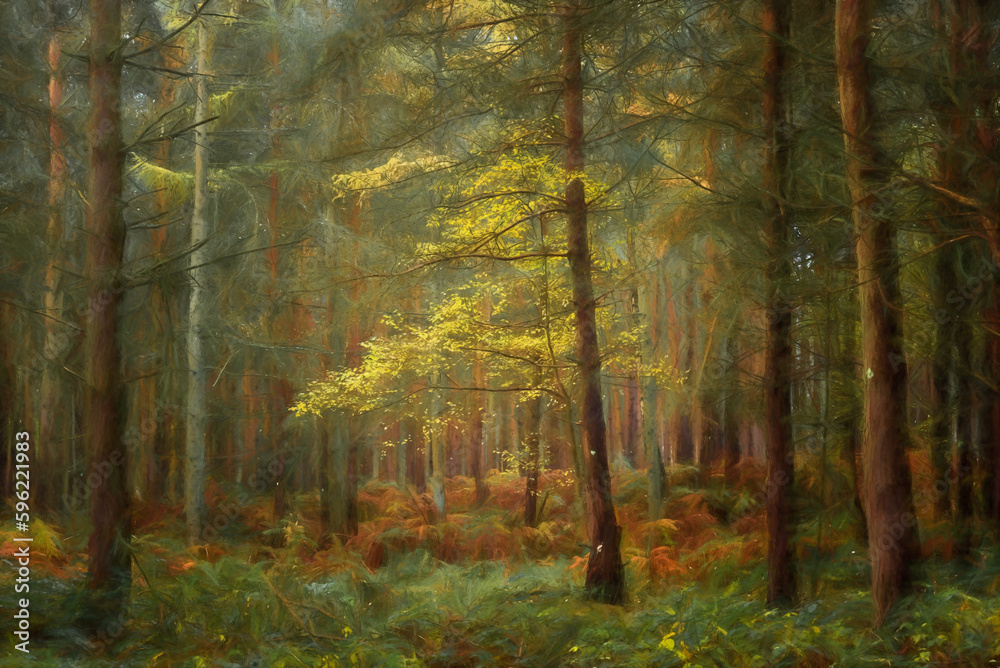Obraz premium Digital painting of golden autumnal fall tree and leaf colours at Birches Valley, Cannock Chase in Staffordshire.