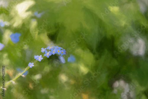 Digital painting of brightly colored sunlit blue forget-me-not flowers against a natural background.