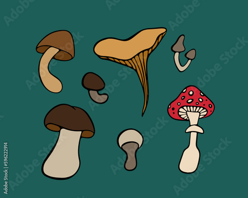 Vector isolated set of mushrooms. Edible and inedible mushrooms.