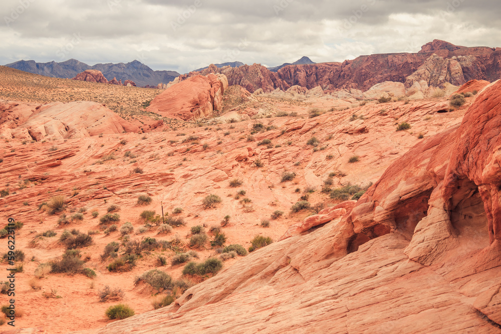 Along the breathtaking panoramic road through the Valley of Fire State Park near Las Vegas in Nevada, USA. Surrounded by rocks and beautiful scenery.