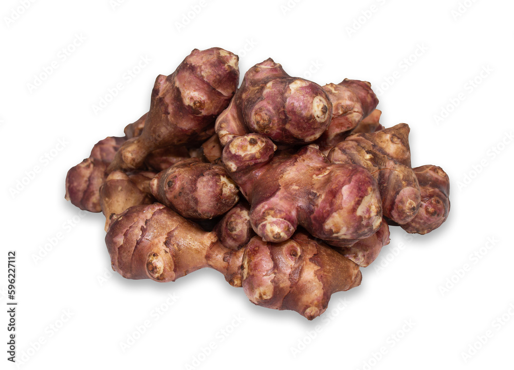 Jerusalem artichoke isolated on a white background with clipping path.