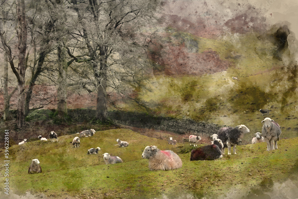 Obraz premium Digital watercolour painting of Beautiful peaceful landscape image of sheep in farm alongside Loughrigg Tarn in Lake District on a Winter morning