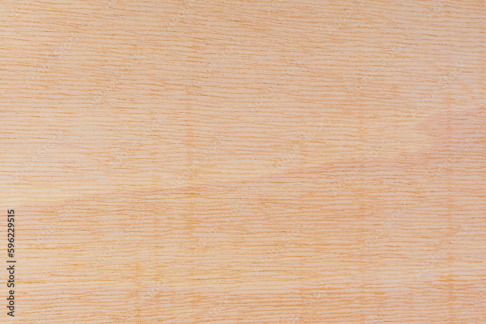 Naklejka premium Light rough textured cut surface of an African tree. Wood background or blank for design