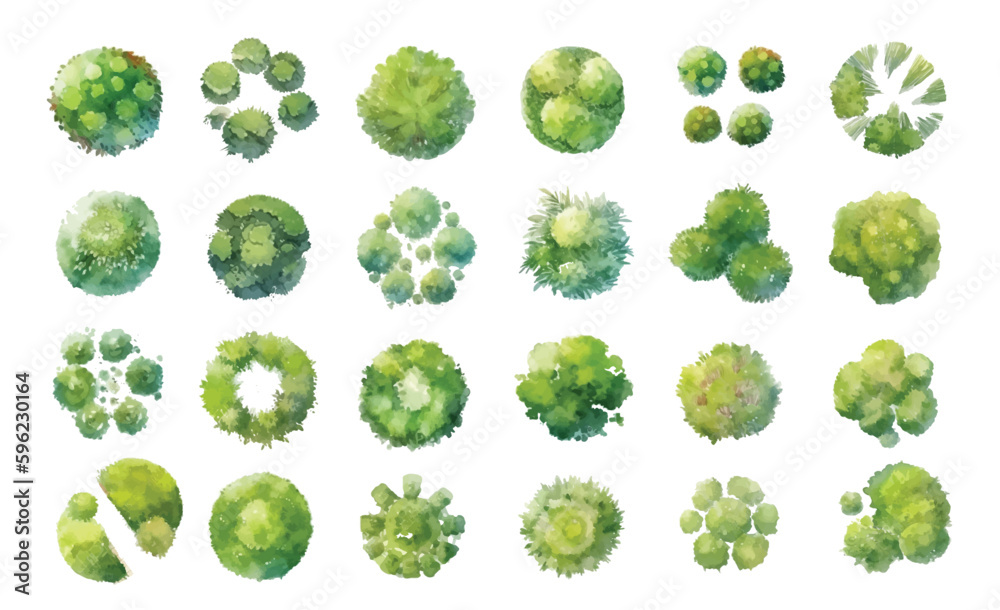 Various green trees, bushes and shrubs, top view for landscape design plan. Vector watercolor illustration, isolated on white background.