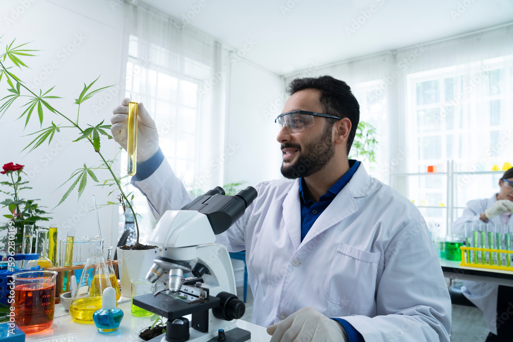 asian botanist working at laboratory asian botanist working at laboratory
