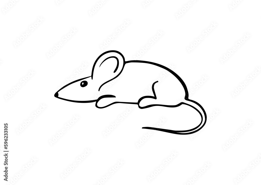 vector mouse animal illustration design