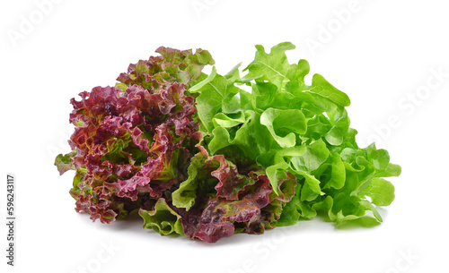 Fresh red green lettuce isolated on transparent background. PNG photo