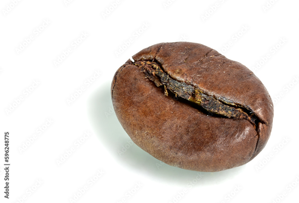 concept brown roasted closeup coffee bean barista concept brown roasted closeup coffee bean barista
