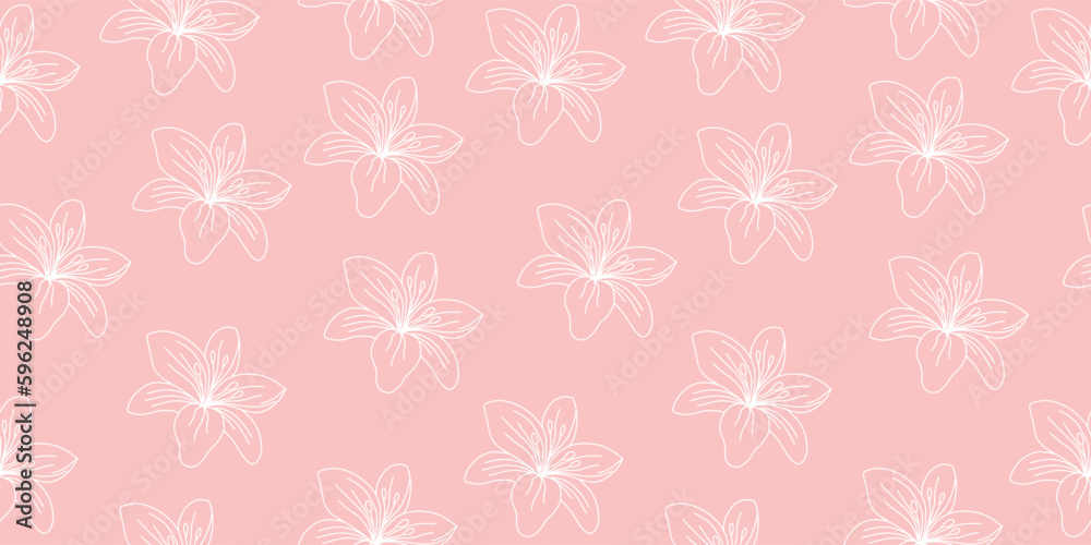 Seamless pattern of lilies. Beautiful delicate lily. Vector illustration on pink background Seamless pattern of lilies. Beautiful delicate lily. Vector illustration on pink background