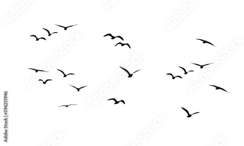 Canvastavla flock of bird flies