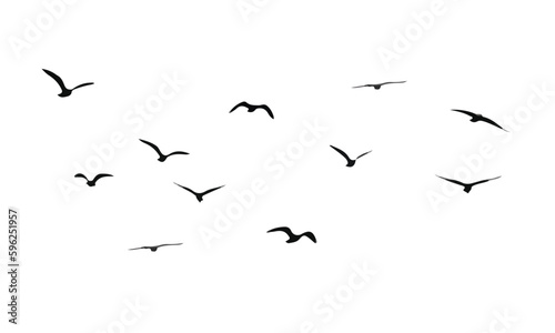 migrating birds black minimalist design