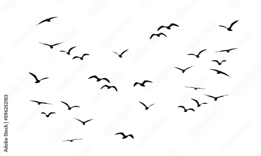 Fototapeta premium black bird flock simple art