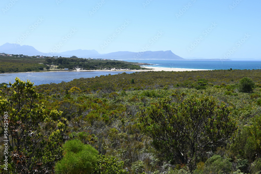 View at a landscape near Hermanus in South Africa