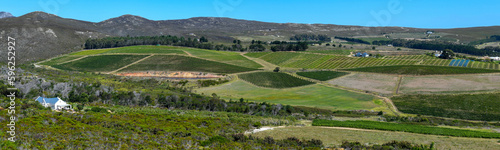 View at a landscape near Hermanus in South Africa