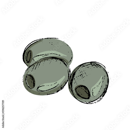 Olives black berry hand drawn vector illestration. Olives isolated on white background. photo