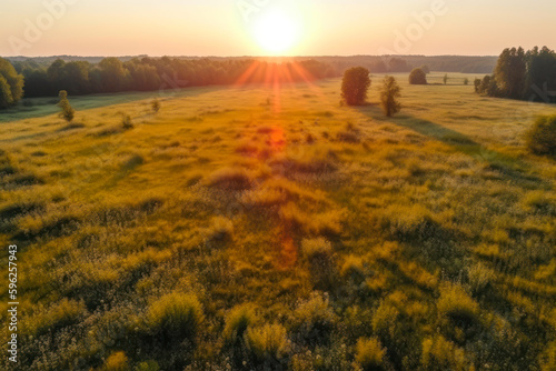 morning summer sunny meadow landscape aerial generative ai