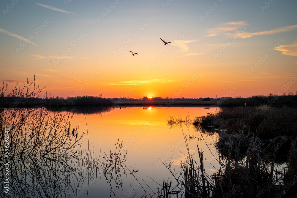 Gewässer im Moor bei Sonnenuntergang mit sich spiegelnden Gänsen im Wasser zur goldenen Stunde zwischen Tag und Nacht