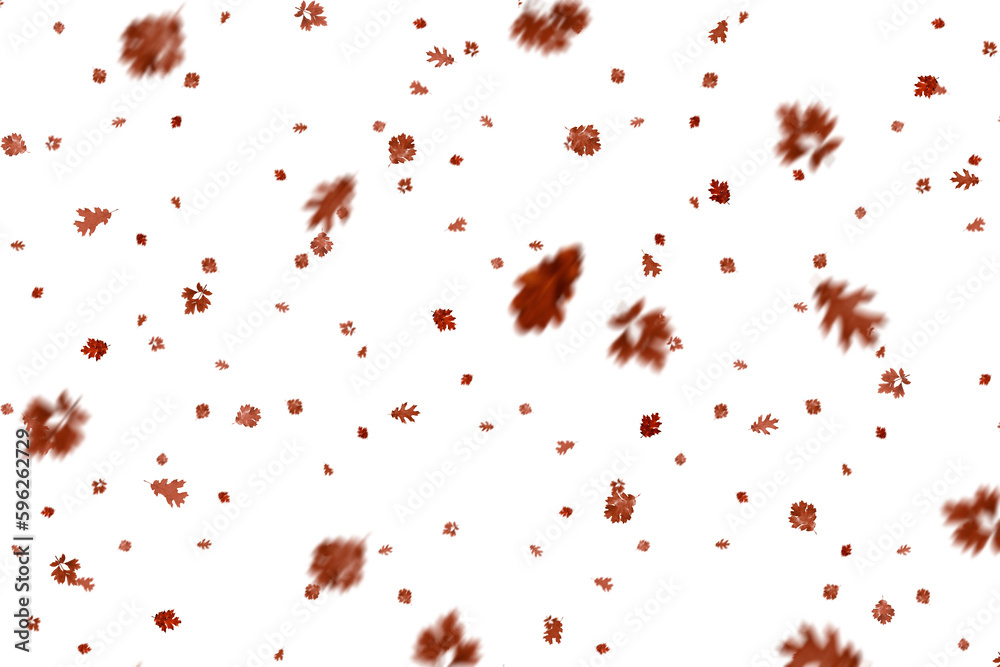 Falling isolated autumn colored maple leaves Falling isolated autumn colored maple leaves
