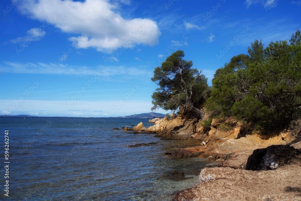 Fototapeta premium panorama of pine trees and the Mediterranean Sea in the south of France