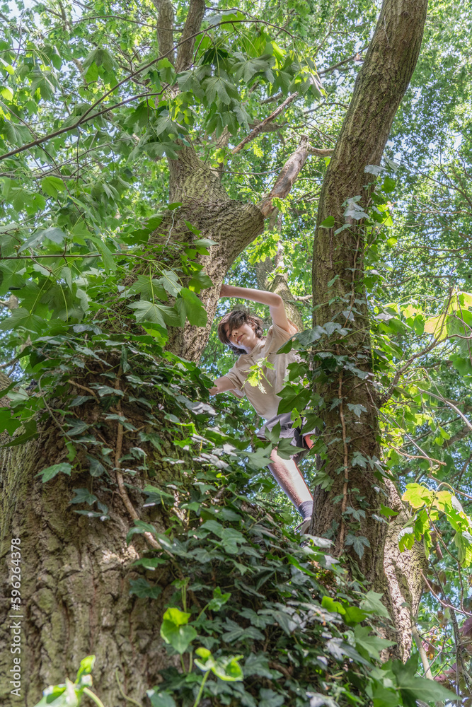 Low angle view of boy climbing tree Low angle view of boy climbing tree