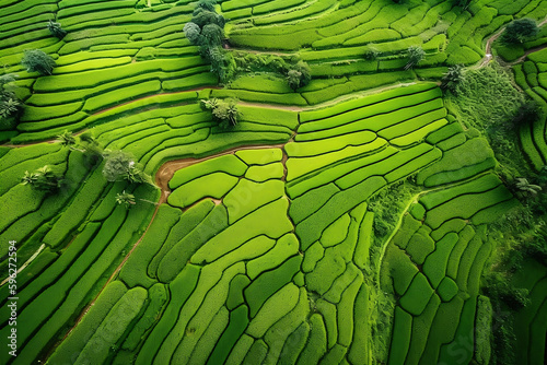 Aerial view of green fields of traditional agriculture