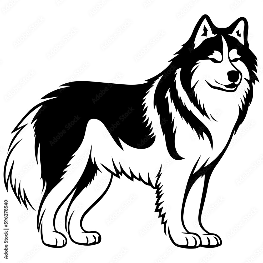 illustration of a dog, Alaskan Malamute