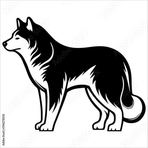 illustration of a dog, Alaskan Malamute
