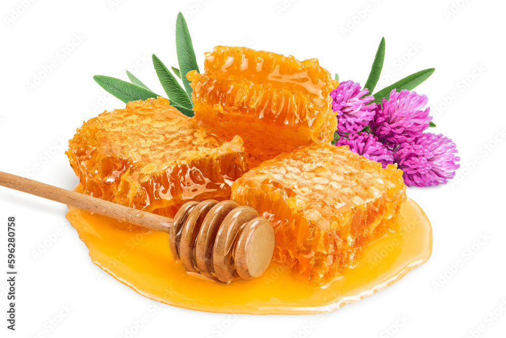 Honeycombs and honey puddle with clover flower isolated on white background with full depth of field Honeycombs and honey puddle with clover flower isolated on white background with full depth of field