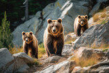 Brown bears walking in mountains, Generative AI