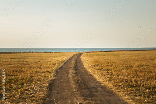 Trail leading to the beach