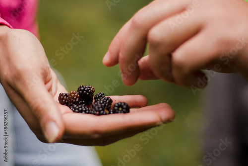 Found a blackberry on a hike