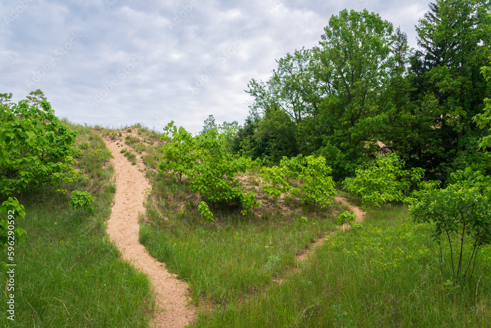 Trail at Lake Michigan's Indiana Dunes National Park Trail at Lake Michigan's Indiana Dunes National Park