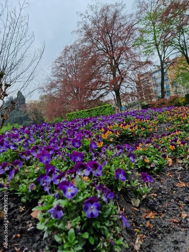 Wallpaper Mural spring in the park Torontodigital.ca