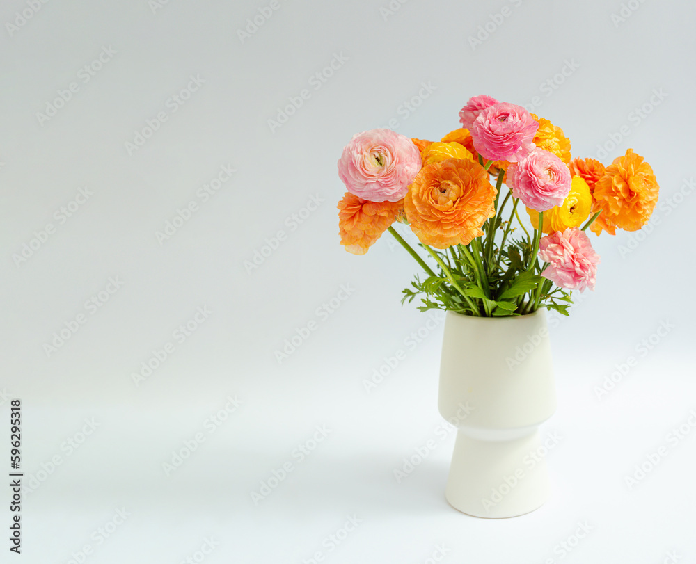 Multicolored bouquet of ranunculus on a white background