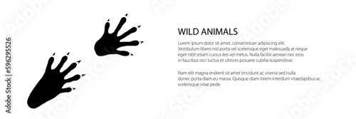 Trace of forest animal banner, raccoon mammal footprint, vector illustration